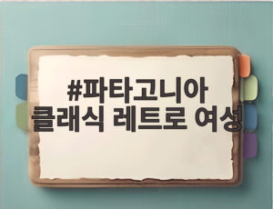 파타고니아 클래식 레트로 여성