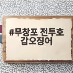 무창포 전투호 갑오징어 입질 타이밍과 채비 꿀팁 총정리 무창포 전투호 갑오징어