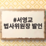 서영교 법사위원장 발언 발언권 정지 논란 무엇이 문제일까 서영교 법사위원장 발언