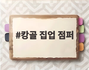 캉골 집업 점퍼