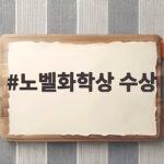 노벨화학상 수상 거울상 분자 비밀을 밝힌 두 과학자 이야기 노벨화학상 수상