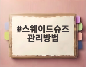 스웨이드슈즈 관리방법