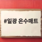 일광 온수매트 선택 기준과 실제 사용 경험으로 찾은 꿀팁 일광 온수매트