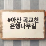 아산 곡교천 은행나무길 단풍 절정 시기와 주차 정보 아산 곡교천 은행나무길