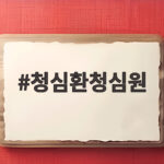 청심환청심원 차이와 면접 시험 전 긴장 완화 복용법 알아보기 청심환청심원