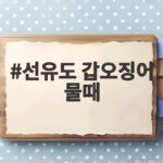 선유도 갑오징어 물때