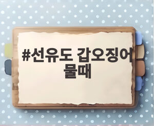 선유도 갑오징어 물때