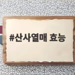 산사열매 효능 새콤한 가을 열매로 건강하게 시작해 보세요 산사열매 효능