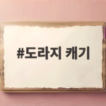도라지 캐기 언제가 좋을까 시기와 방법을 쉽게 알아봐요 도라지 캐기