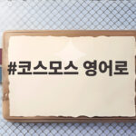 코스모스 영어로 무엇일까 유래와 꽃말 가을꽃까지 코스모스 영어로