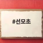 선모초 구절초의 다른 이름 왜 여성에게 좋다고 했을까 선모초