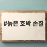 늙은 호박 손질 처음이라도 순서만 알면 쉽게 끝나요 늙은 호박 손질