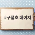 구절초 데이지 구별 이렇게 쉬웠나 잎 모양 개화시기 정리 구절초 데이지