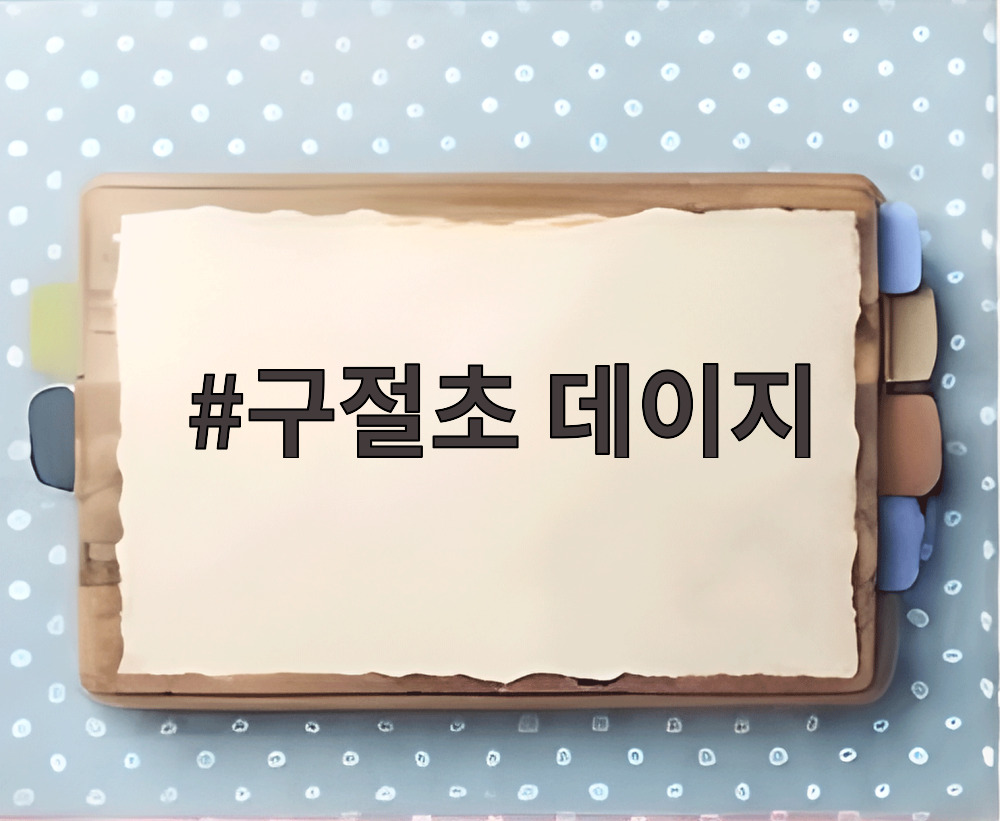 구절초 데이지