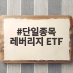 단일종목 레버리지 ETF 도입 논란 투자자 보호는 무엇이 중요할까 단일종목 레버리지 ETF