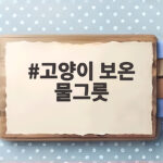 고양이 보온 물그릇 겨울철 물 안 마시는 냥이 해결 방법 고양이 보온 물그릇