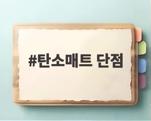 탄소매트 단점