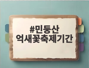 민둥산 억새꽃축제기간