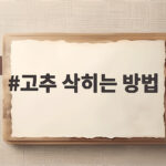 고추 삭히는 방법 이것만 알면 아삭한 고추지 한 병 간단히 완성 고추 삭히는 방법