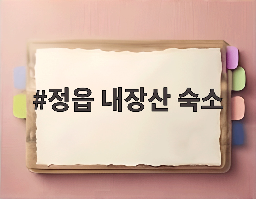 정읍 내장산 숙소