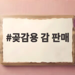 곶감용 감 판매 서리 전에 꼭 따야 하는 이유 곶감용 감 판매