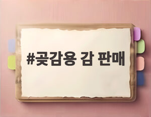 곶감용 감 판매