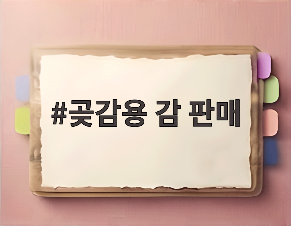 곶감용 감 판매