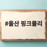 울산 핑크뮬리 절정 시기와 태화강 국가정원 가을 나들이 일정 울산 핑크뮬리