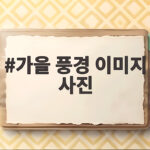가을 풍경 이미지 사진 한 장으로 계절을 바꾸는 휴대폰 배경화면 추천 가을 풍경 이미지 사진