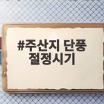 주산지 단풍 절정시기