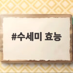 수세미 효능 기관지와 항산화 성분 수세미즙 고르는 팁까지 수세미 효능