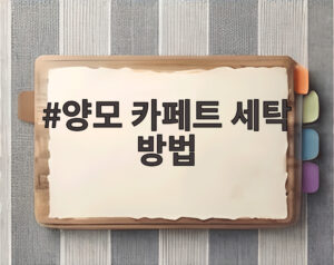 양모 카페트 세탁 방법