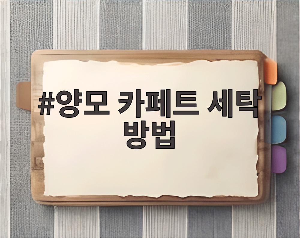 양모 카페트 세탁 방법