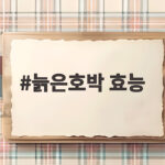 늙은호박 효능 가을에 고구마 대신 챙겨야 하는 진짜 이유 늙은호박 효능