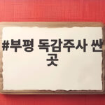 부평 독감주사 싼 곳 찾는 분들께 전하는 병원별 가격 비교 부평 독감주사 싼 곳
