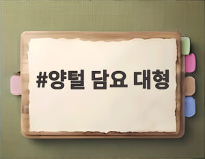 양털 담요 대형
