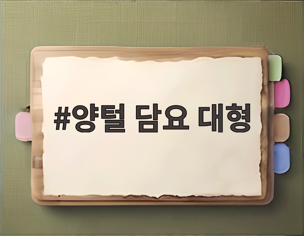 양털 담요 대형