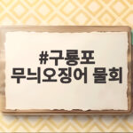 구룡포 무늬오징어 물회 언제 먹어야 제일 맛있을까 구룡포 무늬오징어 물회