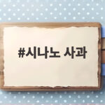 시나노 사과 노란 황금사과 제철 맛 효능 보관법 총정리 시나노 사과