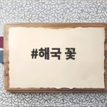 해국 꽃 가을 바닷가 바위틈에서 피어나는 보랏빛 생존 이야기 해국 꽃