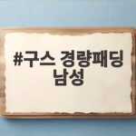 구스 경량패딩 남성 가볍고 따뜻하게 입는 올겨울 아우터 현명한 선택 구스 경량패딩 남성