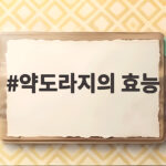 약도라지의 효능 제대로 누리는 먹는법과 주의사항 약도라지의 효능
