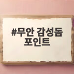 무안 감성돔 포인트 세 곳을 비교해 보면 자리 잡기 고민이 사라집니다 무안 감성돔 포인트