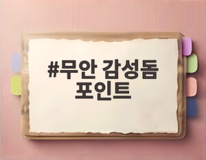 무안 감성돔 포인트