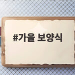 가을 보양식 제철 음식으로 환절기 건강 챙기는 한 끼 식사 가을 보양식