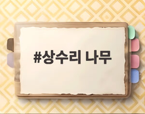 상수리 나무