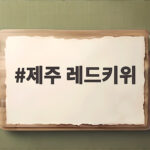 제주 레드키위 제철 시기와 후숙 방법 그리고 효능까지 한번에 알아봐요 제주 레드키위