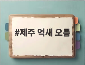 제주 억새 오름