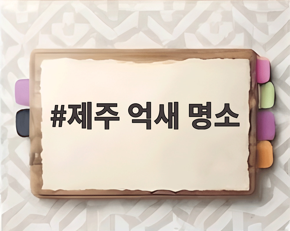 제주 억새 명소