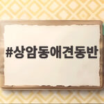 상암동애견동반
